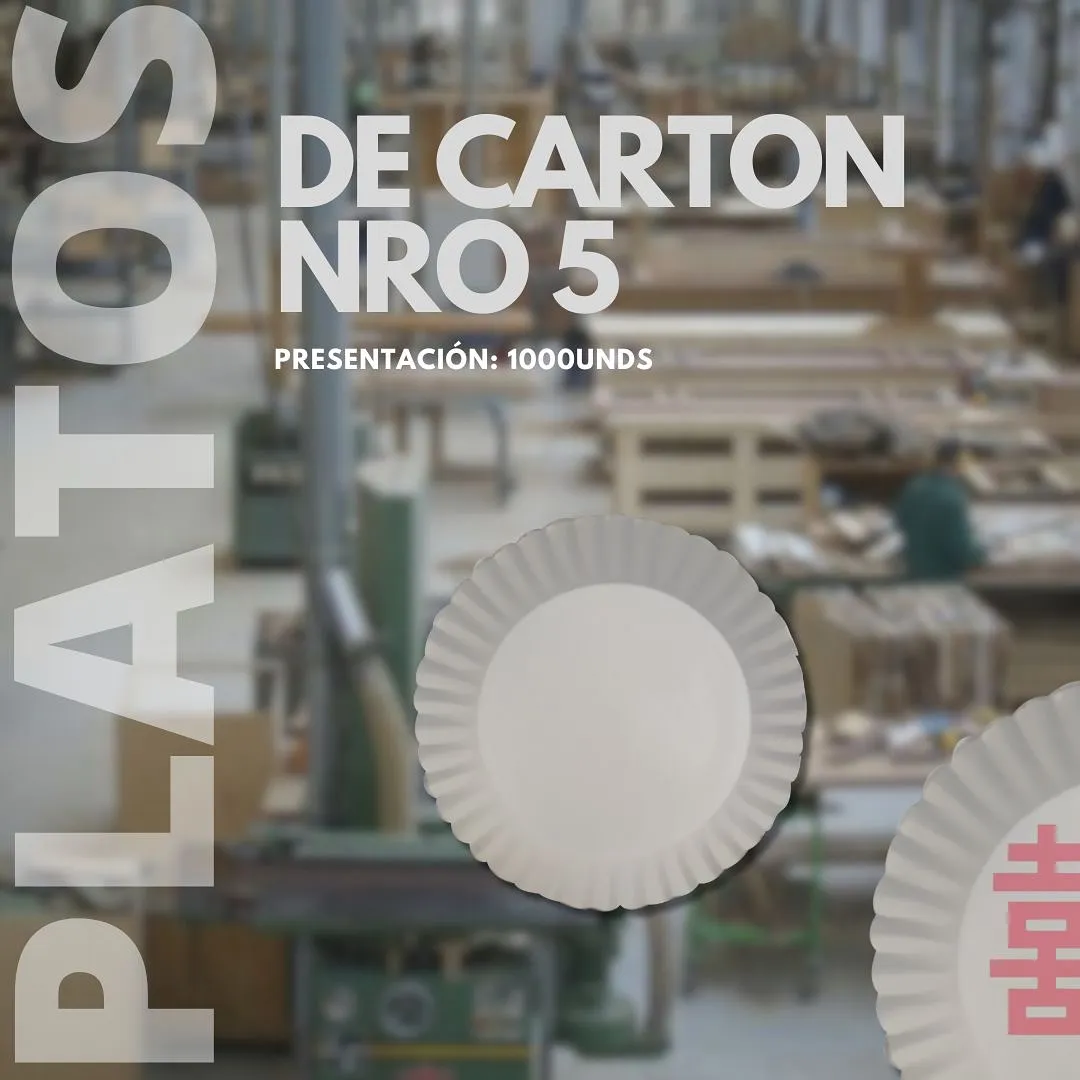Plato N°5